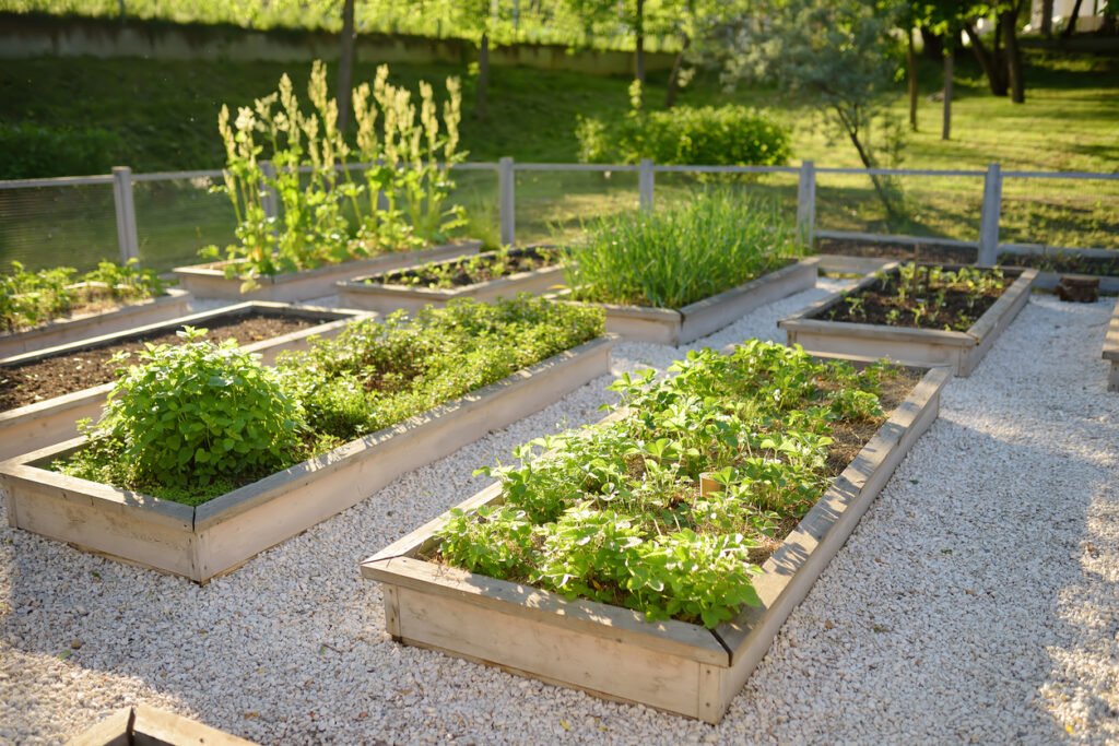 Jardin écologique plantation